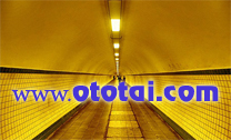 Oto Tai